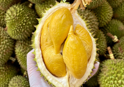 KHI LUỒNG XANH ĐỊNH HÌNH LẠI CHUỖI GIÁ TRỊ NÔNG SẢN