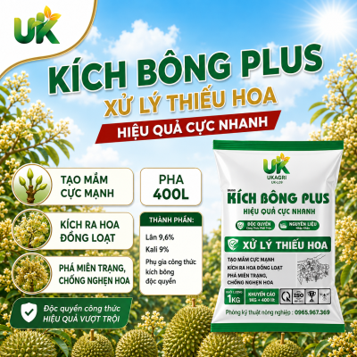 KÍCH BÔNG PLUS - 1KG