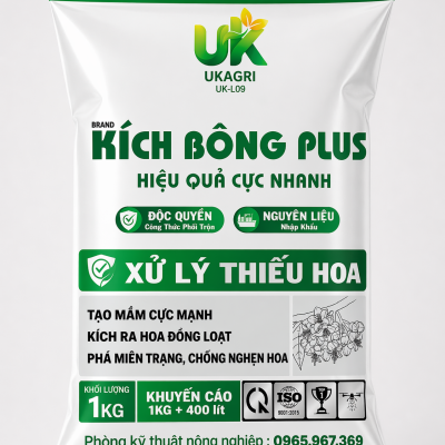 KÍCH BÔNG PLUS - 1KG