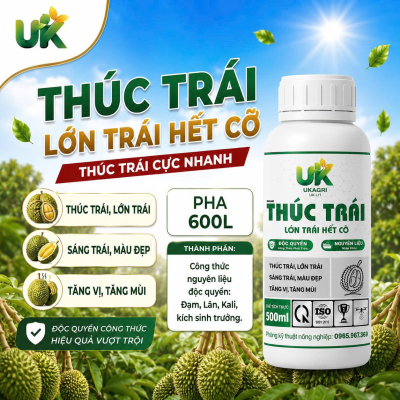 THÚC TRÁI - 500ML